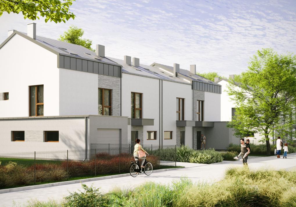 Domy w Baszkówce – widok ogólny