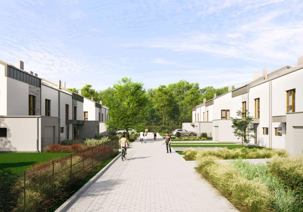 Domy w Baszkówce – widok wzdłuż chodnika