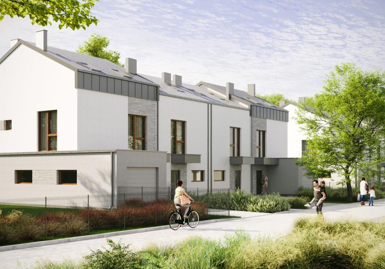 Domy w Baszkówce – widok ogólny